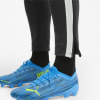 Puma teamLIGA Trainingshose