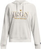 Under Armour Project Rock Everyday Hoodie