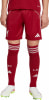 adidas FC Liverpool FC 25/26 Heimshorts