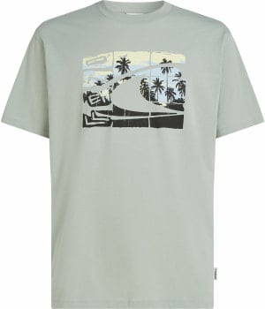 O'Neill Gradient T-Shirt 100%BW