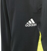 adidas Predator Shorts