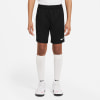 Nike Park 20 Trainingsshorts