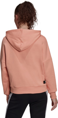 adidas Future Icons Hoodie