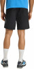 adidas XPR Short Wandershort TERREX