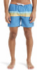 Quiksilver Everyday Straight Badeshorts