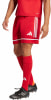 adidas SQUA25 SHO M Short AEROREADY