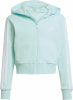 adidas JG 3S FL TS 240 Jogginganzug mit Kapuze