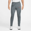 Nike Academy Dri-FIT Trainingshose