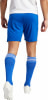 adidas SQUAD 21 Trainingsshorts