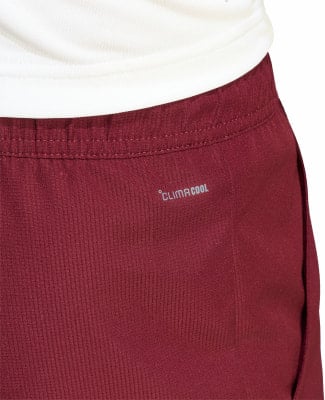 Detail einer dunkelroten Sporthose mit ClimaCool-Logo.