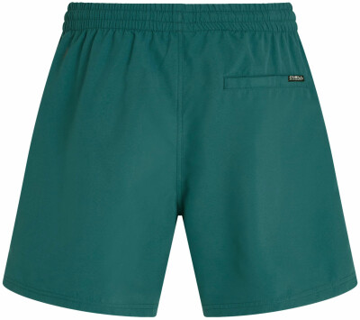 O'Neill Logo Badeshorts