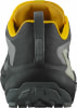 Salomon Genesis GTX Traillaufschuhe