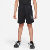 Nike Dri-FIT Shorts