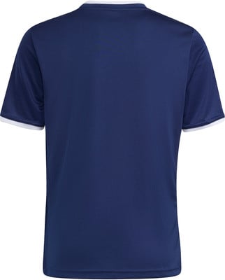 Rückseite eines dunkelblauen T-Shirts mit weißem Kragen und Ärmelbündchen. Rückseite eines dunkelblauen T-Shirts mit weißem Kragen und Ärmelbündchen.
