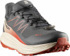 Salomon Alpharide 2 GTX Runningschuh UK-Gr.