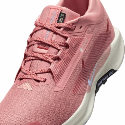 Nike Pegasus Trail 5 GTX Traillaufschuhe