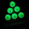 Donic-Schildkröt Glow in the Dark Tischtennisbälle
