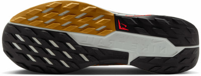 Nike Pegasus Trail 5 GTX Traillaufschuhe