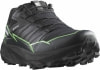 Salomon Thundercross GTX Traillaufschuhe